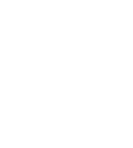 desarrollo_franquicias